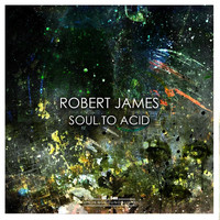 Robert James - Soul to Acid