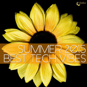 Various Artists - Summer 2015 Best Tech Vibes