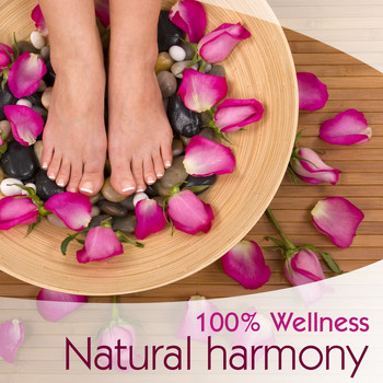 Various Artists - 100 % Wellness - Natural Harmony