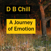 D B Chill - A Journey of Emotion