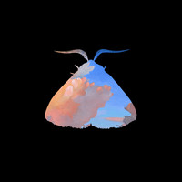 Chairlift - Moth to the Flame