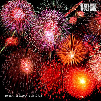 Various Artists - Brisk Celebration 2015