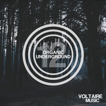 Various Artists - Organic Underground Issue 12