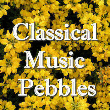 Various Artists - Classical Music Pebbles