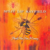 Split Lip Rayfield - Should Have Seen It Coming