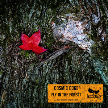 Cosmic Edge - Fly in the Forest