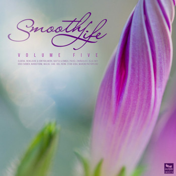 Various Artists - Smooth Life, Vol. 5