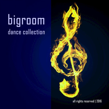 Various Artists - Big Room Dance Collection
