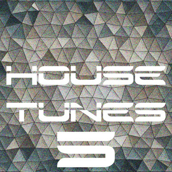Various Artists - House Tunes, Vol. 5