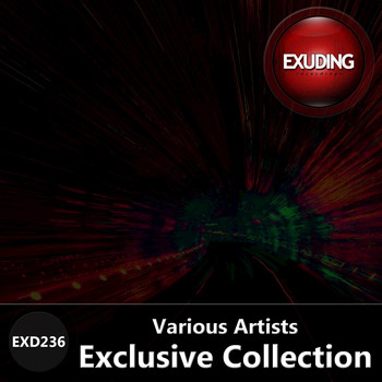 Various Artists - Exclusive Collection