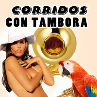 La Mafia Del Norte - Corridos Con Tambora