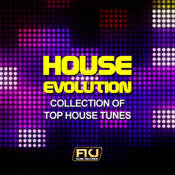 Various Artists - House Evolution (Collection of Top House Tunes)