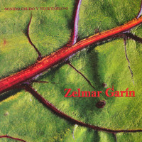 Zelmar Garín - Sonido Crudo y Vegetariano