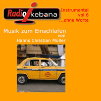 Hanns Christian Müller - Radio Ikebana Instrumental (ohne Worte), Vol. 6 (Musik zum Einschlafen)
