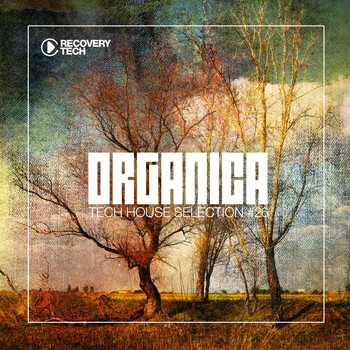 Various Artists - Organica #26