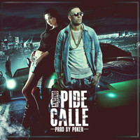 Andino - Pide Calle