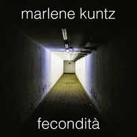 Marlene Kuntz - Fecondità