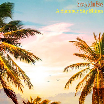 Sleepy John Estes - A Summer Sky Shines