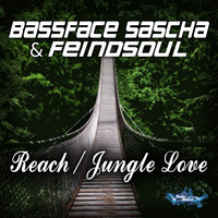Bassface Sascha & Feindsoul - Reach / Jungle Love