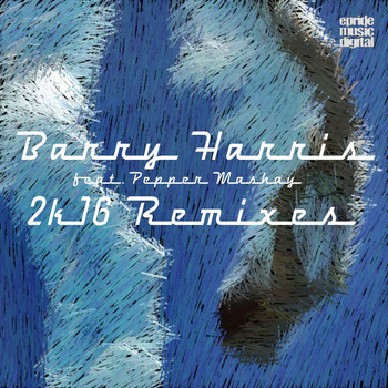 Barry Harris - Dive in the Pool (2K16 Remixes)
