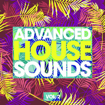Various Artists - Advanced House Sounds, Vol. 2