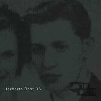 Various Artists - Herberts Best 06