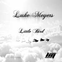 Luke Meyers - Little Bird
