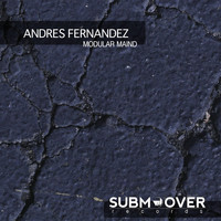 Andres Fernandez - Modular Maind