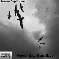 Roman Depthsound - Never Say Goodbye