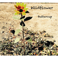 WildFlower - Buttercup