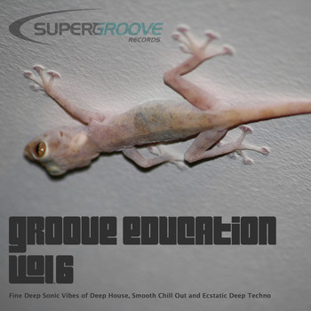 Various Artists - Groove Education, Vol. 6 - Fine Deep Sonic Vibes of Deep House, Smooth Chill Out and Ecstatic Deep Techno