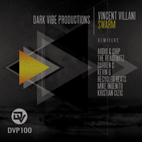 Vincent Villani - Swarm