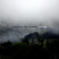 Focus on the Breath - Apnea