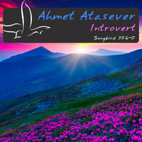 Ahmet Atasever - Introvert
