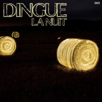 Dingue - La nuit
