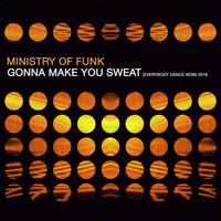 Ministry Of Funk - Gonna Make You Sweat (Everybody Dance Now) 2016