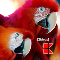 HEIN+KLEIN - 2BIRDS