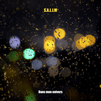 Salim - Dans mon univers