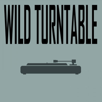Various Artists - Wild Turntable