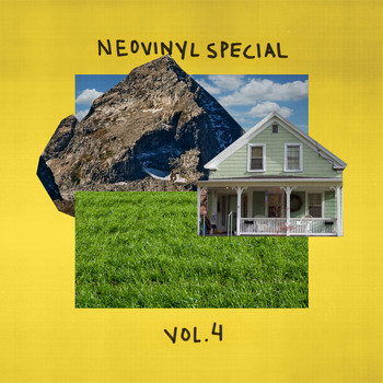 Various Artists - Neovinyl Special, Vol. 4