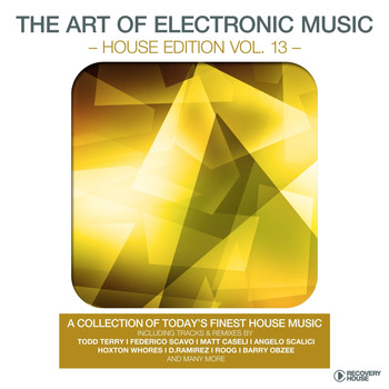 Various Artists - The Art of Electronic Music - House Edition, Vol. 13