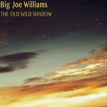 Big Joe Williams - The Old Wild Shadow