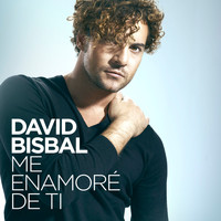 David Bisbal - Me Enamoré De Ti