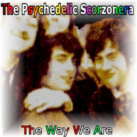 The Psychedelic Scorzonera - The Way We Are