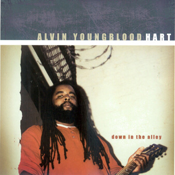 Alvin Youngblood Hart - Down in the Alley