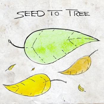 Seed to Tree - The Early Years Ep