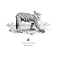 Marvellous - What to Believe