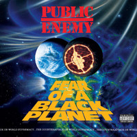 Public Enemy - Fear Of A Black Planet (Explicit)