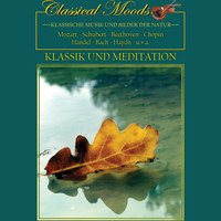 Jörg Demus, Stuttgarter Kammerorchester, Karl Münchinger - Classical Moods - Classic And Meditation