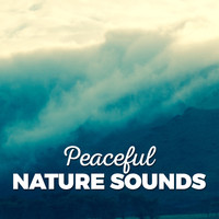 Ambient Nature Sounds - Peaceful Nature Sounds